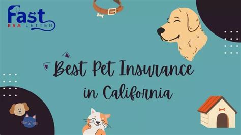 Best pet insurance in california. Things To Know About Best pet insurance in california. 