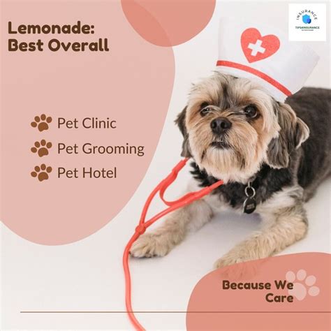 For instance, Embrace quoted us $70.53 per month for a policy with a $30,000 annual limit, a $200 deductible and a 90% reimbursement rate to cover a mixed-breed dog. However, it costs only $18.15 .... 