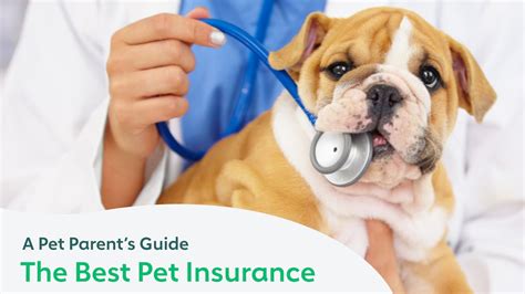 Best pet insurance in missouri. Things To Know About Best pet insurance in missouri. 