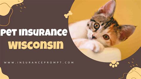 Best pet insurance in wisconsin. Things To Know About Best pet insurance in wisconsin. 