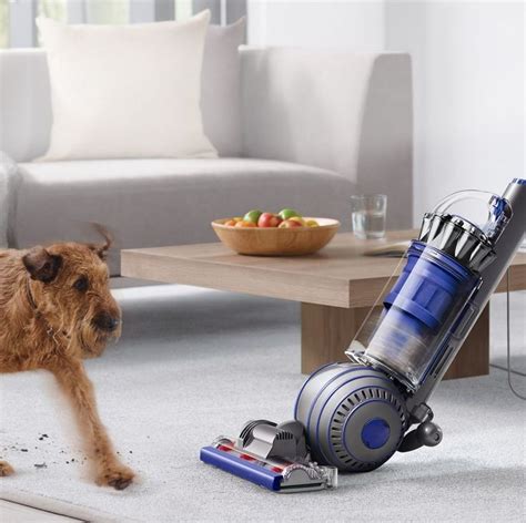 Best pet vacuum. Things To Know About Best pet vacuum. 