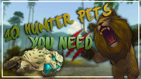 Best pets survival hunter. AoE (Option 1) These are the recommended AOE builds once you acquire the tier set. Although not very gameplay transforming, Survival Hunter talents are tuned very well and therefore the spec has multiple builds and multiple variations of said builds. The difference between Survival’s 2 main AoE builds is that one has Coordinated Assault as … 