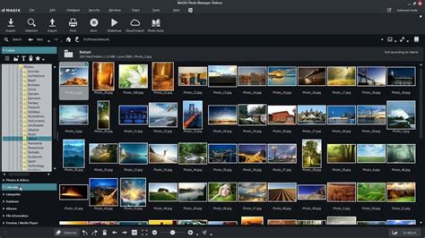 It is a fast photo catalog software that supports over 500 image formats. This program will help you sort out standard JPG or PNG files or less frequent image formats. Although it will not automatically organize files, this free photo organizing software has tools for editing metadata and image tags in a batch mode. It allows you to distribute .... 