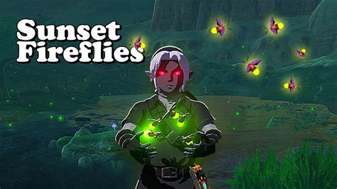 Best place to find sunset fireflies botw. Zelda: Tears of the Kingdom - How to Catch Sunset Fireflies. By Ashely Claudino. Published May 15, 2023. Players will often see fireflies at night in Hyrule when … 