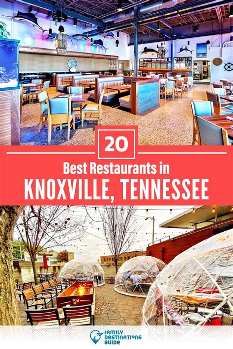 16 Best Places to Eat in Knoxville, TN for Foodies. 12. Sushi at Tangerine. Night owls with a hankering for sushi, you’re in for a treat! Head on over to Tangerine’s for some late-night dining in Knoxville. With an impressive sushi menu and a cozy ambiance, Tangerine has got your sushi cravings covered.. 