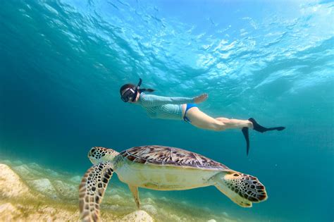 Best places to snorkel. Things To Know About Best places to snorkel. 