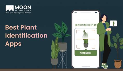 Best plant identification app 2019.  Use it for instant flower identification, t...