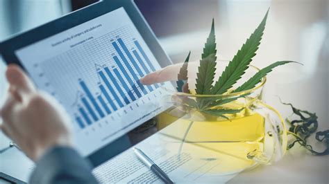 Best pot etf. Things To Know About Best pot etf. 