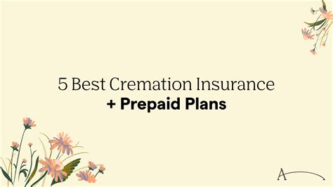 Best prepaid cremation services. .  <a href=https://www.info.dev-nanuk.com/.well-known/pki...