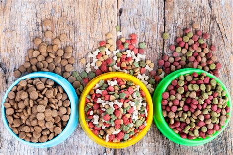 Best puppy dog foods. Adult dog food should include 18% protein and 5.5% fat on a dry matter basis, according to AAFCO. Our experts recommend feeding overweight dogs therapeutic veterinary weight-loss diets. They’re ... 