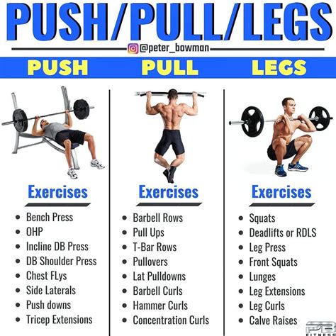 28-Dec-2018 ... If you want further information then the Push Pull Legs thread on Reddit offers some great beginners advice. You can also find exercises for .... 