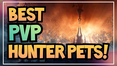 Best Hunter Pets for PvP Content (Battlegrounds, Arenas) 