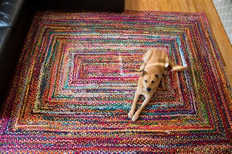 Best rugs for dogs. Feb 8, 2024 · The 10 Best Rugs for Dogs, Tested and Reviewed. Best Pre-Treatment. Resolve Ultra Pet Odor and Stain Remover Spray. Amazon. View On Amazon $10 View On Walmart $10 ... 