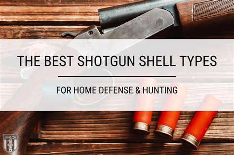 Best shotgun shell for home defense.  These factors include your personal prefere...