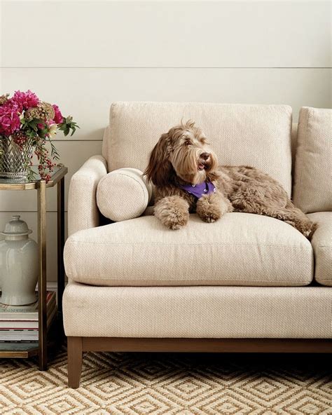 Best sofa for dogs. Continue to Love Leather. Especially don’t rule out leather when you have pets. While the look and feel of leather is luxe, it’s actually super pet-friendly. Leather is incredibly durable and holds up quite well to pets. It’s easy to wipe down and hair doesn’t stick to leather like some other fabrics, so your style can remain elevated ... 