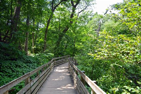Best state parks in illinois. Starved Rock State Park. Starved Rock State Park, Oglesby, IL 61348, USA. Location: … 