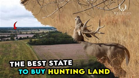 Find hunting land for sale in Western New Y