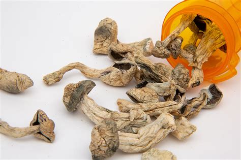 1. How to Take Shrooms Safely. Delve into the art of responsible psilocybin consumption. This article provides comprehensive guidance on dosage, preparation techniques, and navigating the psychedelic landscape responsibly. Learn to harness the transformative potential of magic mushrooms while minimizing risks.. 