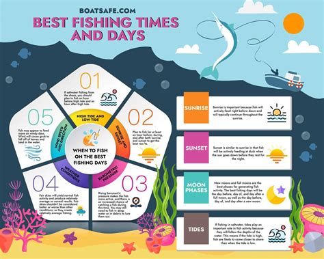 Best time to go fishing. The best time to go fishing can vary quite a bit, especially depending on if you’re saltwater fishing or freshwater fishing (and whichever type of fishing you enjoy most, be sure to … 