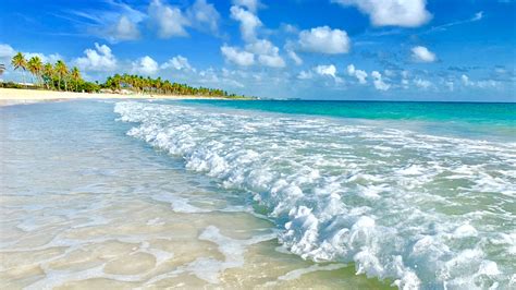 Best time to go to punta cana. Final thoughts on Punta Cana Travel Restrictions. If you’re considering travel restrictions during the pandemic, know that 100% of the Tourism sector personnel have been vaccinated. Roughly 70% of the population of the Dominican Republic has been vaccinated. However, it’s important to take some additional precautions—such as: … 