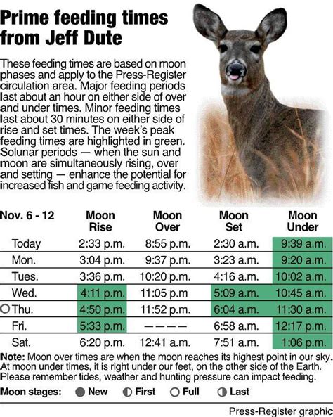 Best time to hunt deer. The charts will forecast deer activity and show you the best days and times to hunt deer. Days when a major or minor feeding time occurs close to sunrise or sunset will have a higher rating. Days when deer feeding times occur further from sunrise or sunset will have a lower rating. 