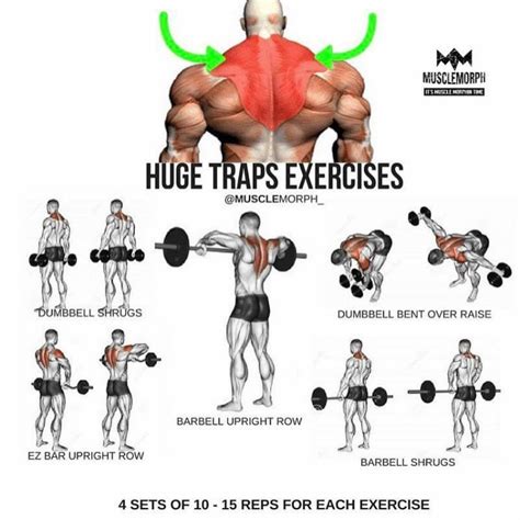 Best trap exercises. http://www.VigorGroundFitness.comCoach @theobowie brings some 🔥When you think of a Trap Bar or Hex Bar, you probably think "Deadlift" - and rightfully so. I... 