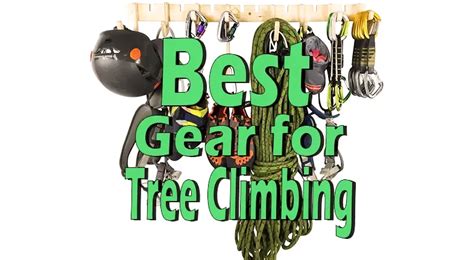 Best tree climbing gear.  Unlike .  Every tree is different, so pieces needs to be Tree C...