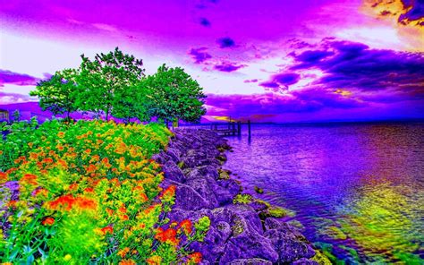 Best wallpaper.  Perfect screen background display for PC, Laptop, Desktop Computer, iPho...