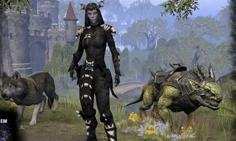 Best warden build eso. Things To Know About Best warden build eso. 