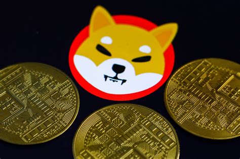 In 2021, Shiba Inu (SHIB 0.24%) and Dogecoin (DOGE 0.26%) exploded onto the cryptocurrency scene. Using the Japanese hunting dog, the Shiba Inu, as their mascots, both cryptocurrencies seemingly ...