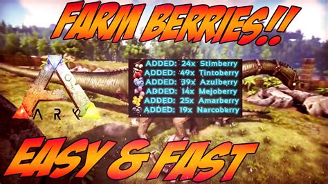 61K views 6 years ago. Ark Survival Evolved How to get Narcoberries Fast, in this tutorial I will show you the fastest way to get Narcoberries, a Narcoberry in Ark is the easiest way to …. 