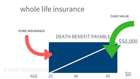 Cash value: A whole life insurance policy builds cash value over