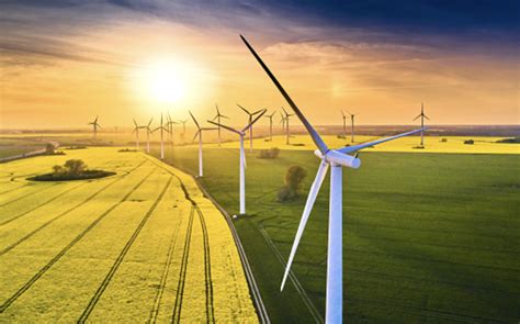 Here are some of the top renewable energy stocks by highest 