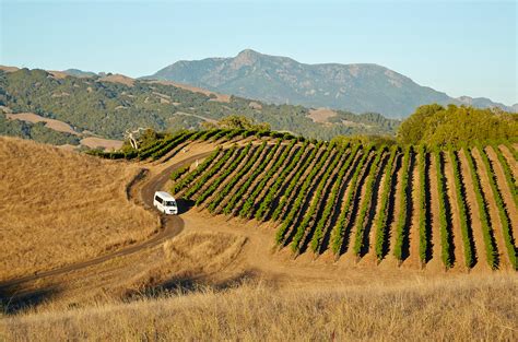 Best wineries in healdsburg. 1 Jan 2020 ... Gary Farrell Winery is easily within driving distance of Healdsburg and produces wonderful wines from the rich vineyard valleys surrounding ... 