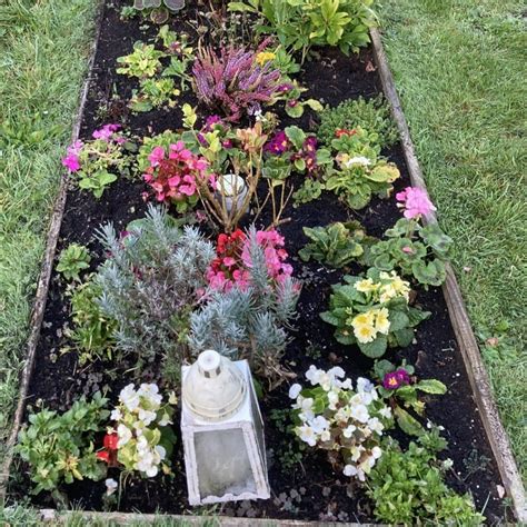 Best winter plants for graves.  Whether they spread aggressively, In co...