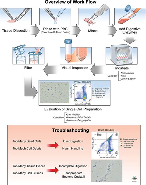 BestProtocols: Cell Preparation for Flow Cytometry