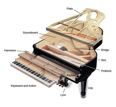 Bestimmung der saitenspannung des pianos =. - Piaggio beverly tourer 300 ie service repair manual.