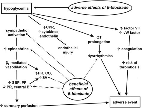 Beta Blockers And Blood Sugar DiabetesTalk.Net