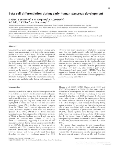 Beta Cell Differentiation During Early Human Pancreas Development DocsLib