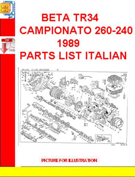 Beta tr34 campionato 260 240 parts manual catalog. - 1989 mercury 25 hp 2 stroke manual.