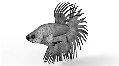 Betta Fish 3D Model: Top 5 Software Tools to Create Your Own 3D Model image 1
