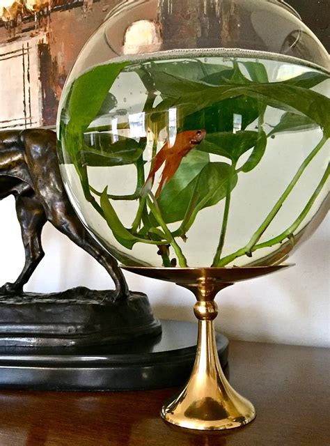 Betta Fish Bowl - Etsy