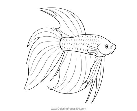 Boo Coloring Sheet