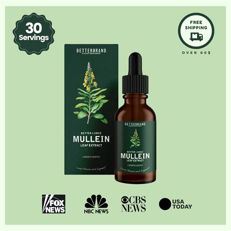 Standard dosing for mullein is as follows: Tincture: 2.5-5mL three times per day of a 1:5 tincture (in 40% alcohol). Infusion: To make an infusion, pour 1 cup boiling water over 2 teaspoons of dried mullein leaf or flower and infuse for 10-15 minutes. Strain through cheesecloth to filter out all of the tiny hair.