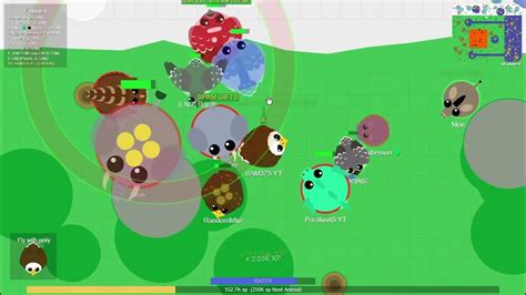 A remake of mope.io, a hit .io game. It is originally made from Mailtey and now Ahmetcan owns it.