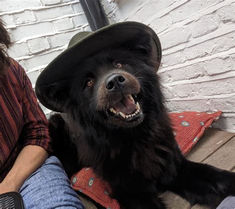 Bettyotr Onlyfans Leaked XxX 🍑 109 Pics