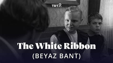 codini.rgarabwor.edu.pl. 