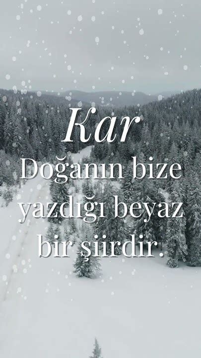 codini.rgarabwor.edu.pl. 