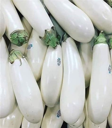 Beyaz patlıcan faydaları
