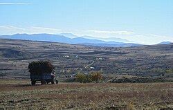 Beydami Halı ve Koltuk Yıkama